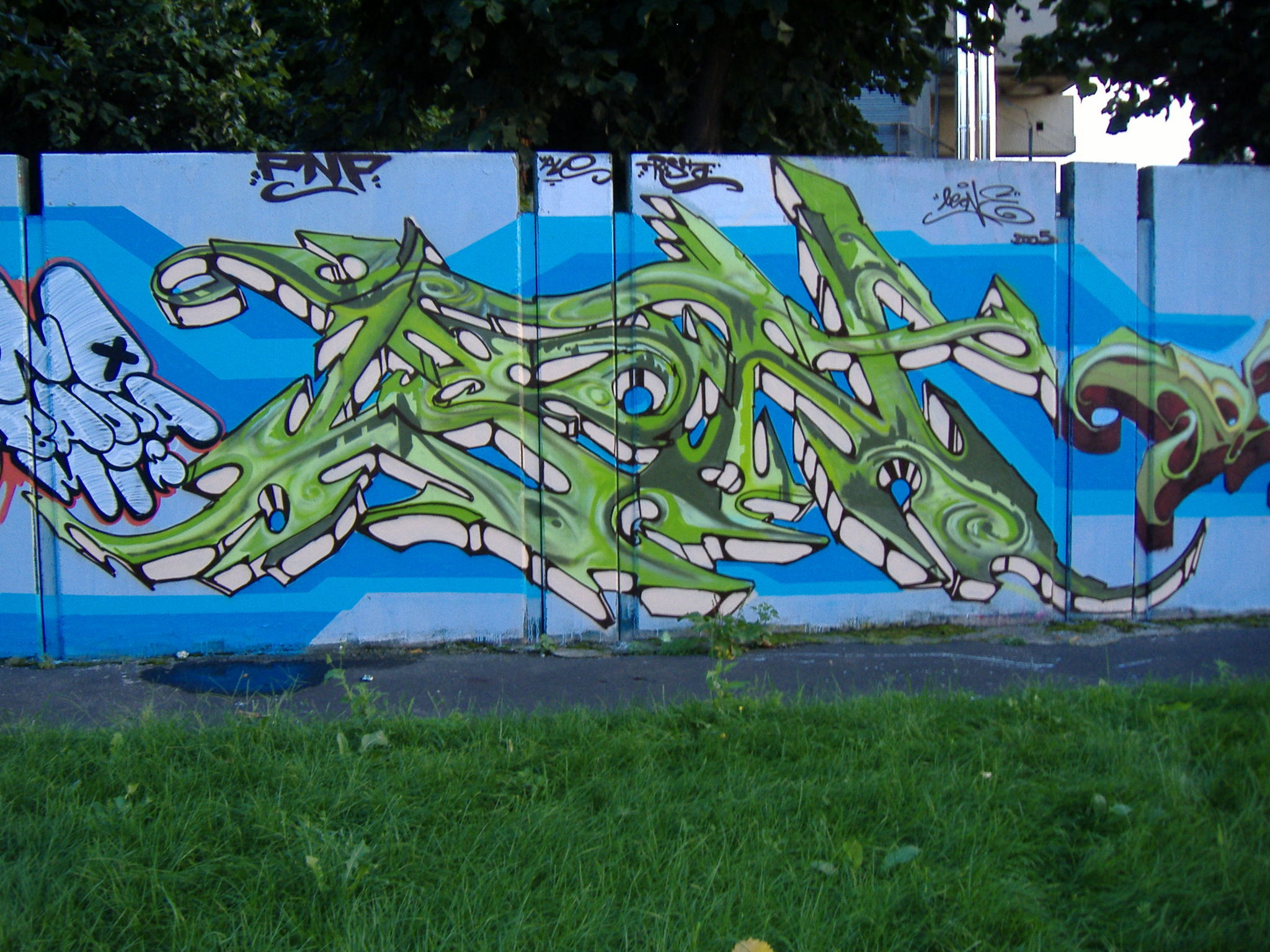 LEONE  2005